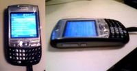 Palm Treo Hollywood